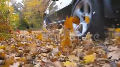 黑色SUV在公园的黄叶上沿着一条空路快速行驶。 五颜六色的秋叶从下面飞来